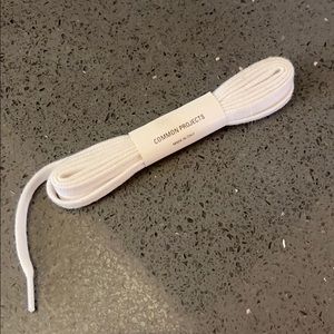 Common project LACES only